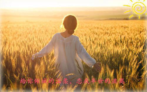 初中优秀学生期末评语大全