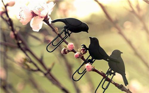 (番外)+(结局)叶芸芸程辞渝（爱意消散：结局+番外）全文免费阅读无弹窗大结局_(叶芸芸程辞渝)最新章节列表_笔趣阁（爱意消散：结局+番外）