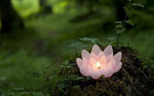 (番外)+(结局)林鹿程屿森(爱随时间散林鹿:结局+番外)全文免费阅读无弹窗大结局_(林鹿程屿森+结局)最新章节列表_笔趣阁(爱随时间散林鹿:结局+番外)