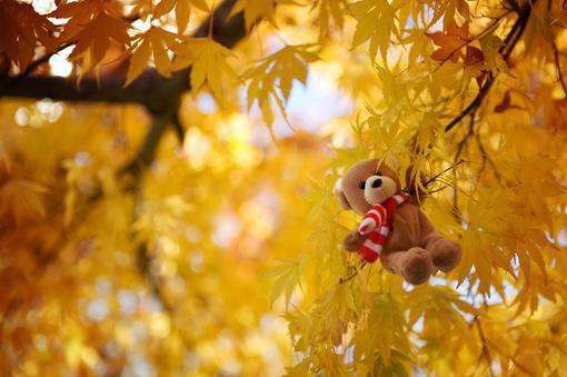 重生后,闺蜜和我绝交去当冰钓钓饵沧由小说全文免费阅读