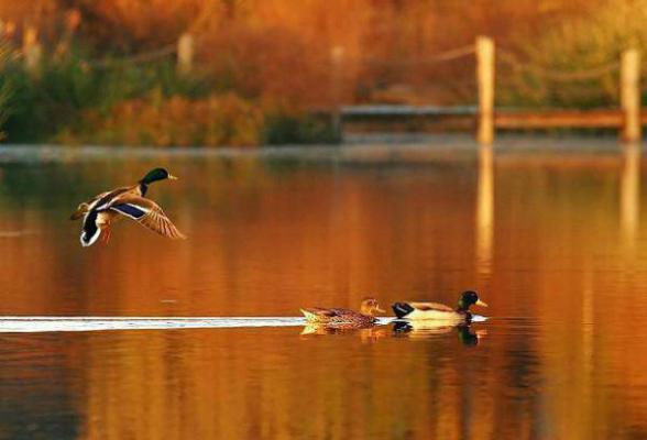 墨云无眠处书荒文好文分享全文免费阅读无弹窗大结局_墨云无眠处(傅云墨宋絮絮徐朗)最新章节列表_笔趣阁(傅云墨宋絮絮徐朗)