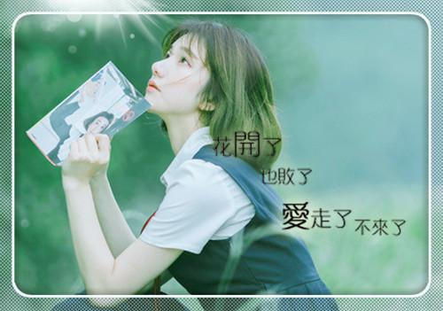 (番外)+(结局)再无岁月可回首：结局+番外（苏青莞聂莫怀万阅）全文免费阅读无弹窗大结局_(再无岁月可回首：结局+番外)最新章节列表_笔趣阁（苏青莞聂莫怀万阅）
