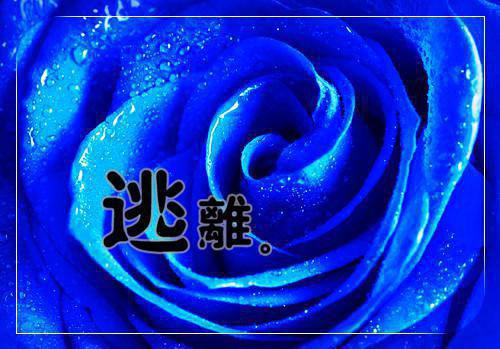 理发店开业祝福语汇总大全