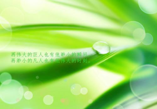 2023老师给小班孩子的评语