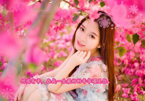 工作自我鉴定评语