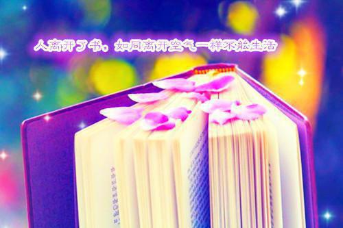领导表扬老师的话语