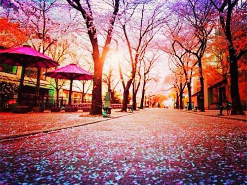 《爱如迷雾殇无尽:陆佑祺》:大结局+番外最新章节列表_笔趣阁爱如迷雾殇无尽:陆佑祺:大结局+番外陆佑祺