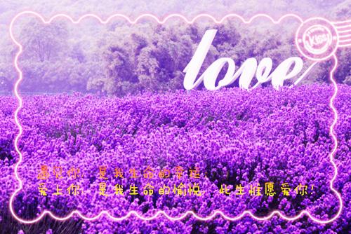 小学生优秀作文评语（精选17篇）