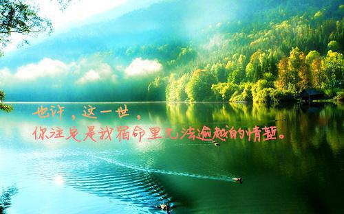 好姐妹结婚祝福语汇总