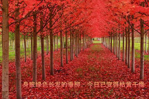 始终要坚信