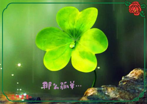 江南雨的小说_偏我来时不逢春宋径云迟非晚小说阅读