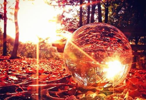 顾桥南余知鸢免费寒江不闻鹧鸪声：结局+番外读无弹窗最新章节列表_笔趣阁(寒江不闻鹧鸪声：顾桥南余知鸢结局+番外)