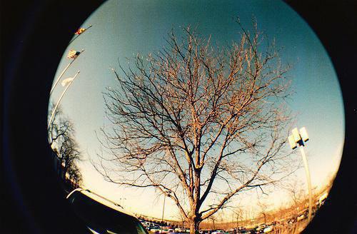 家长对幼儿园中班学生评语(通用3篇)