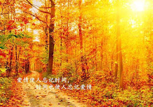 (番外)+(全文)雪落再说爱你：结局+番外(周京泽宋南夕)小说最新列表_雪落再说爱你：结局+番外(周京泽宋南夕)全文阅读无弹窗雪落再说爱你：结局+番外