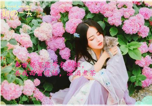 (番外)+(全文)许漫柠傅砚辞(重逢后前任步步求复合:结局+番外)全文免费阅读无弹窗大结局_(许漫柠傅砚辞)最新章节列表_笔趣阁(重逢后前任步步求复合:结局+番外)