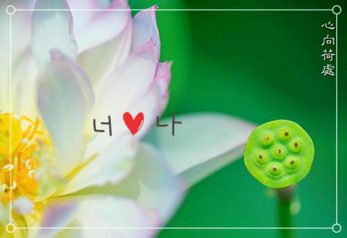虎年给朋友的生日祝福短信精选