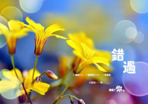 完结版小说裴青寂季行朗晏微第5章阅读