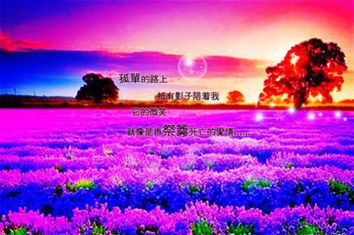 高考考前的励志短文
