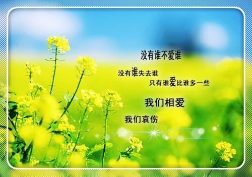 盛开于离别之年余薇,柳霜,沈母小说_盛开于离别之年完结版阅读