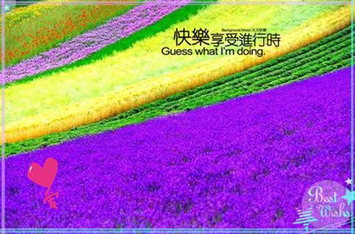 简短经典哲理句子摘抄