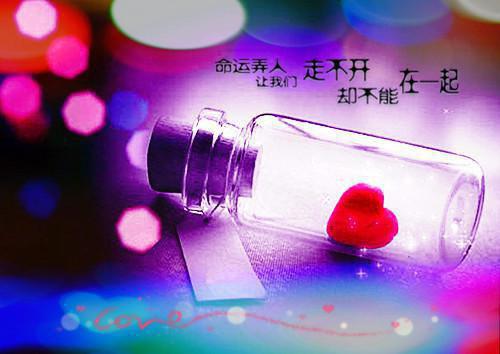 陆东序,沈玉,向沈玉全章节_无限美人他佛口蛇心正版小说阅读