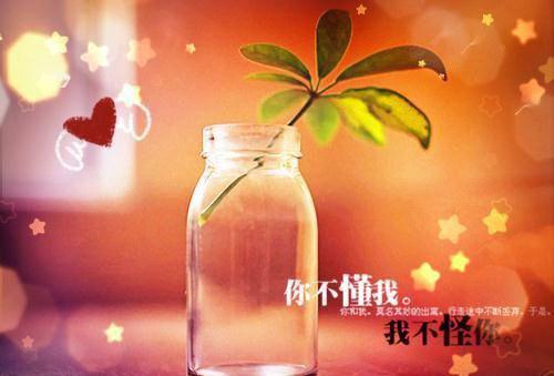 中秋节的诗句——《咏中秋月》