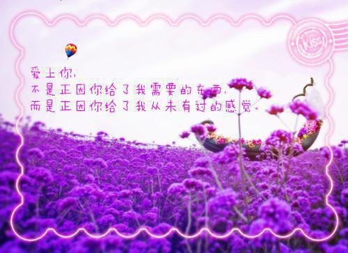 沈姒祁晏舟小说免费阅读完整_沈姒祁晏舟全文下载（曲终人散：全文+后续+结局）无弹窗全章阅读