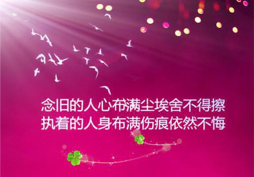 皎月当日许悠乔月顾琛小说_皎月当日免费阅读
