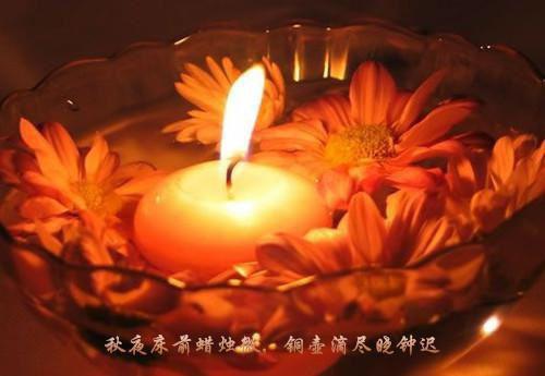 繁花已落梦终散：结局+番外+下载（萧庭策景慈）全文免费阅读无弹窗大结局_繁花已落梦终散：结局+番外+下载（繁花已落梦终散：结局+番外+下载免费阅读）最新章节列表_笔趣阁（萧庭策景慈）