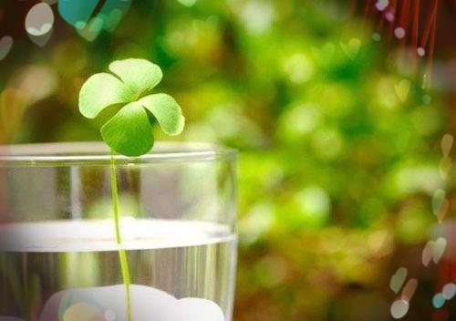 (番外)+(全文)纵容助理把助产包换成旺旺大礼包后，他悔疯了：+后续+结局（沈瑶周铭川）完整版小说阅读_纵容助理把助产包换成旺旺大礼包后，他悔疯了：+后续+结局免费阅读_笔趣阁（沈瑶周铭川）