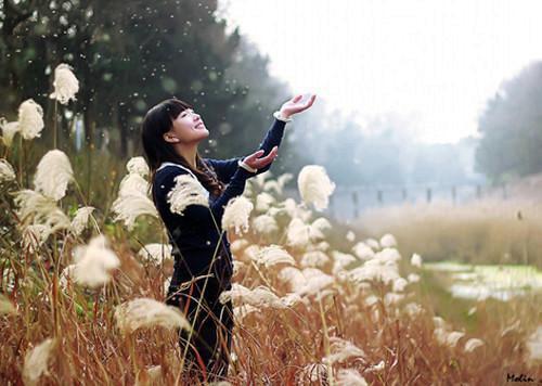 沈清欢傅斯年小说免费阅读完整_沈清欢傅斯年全文下载（错把惊鸿作平生：结局+番外）无弹窗全章阅读