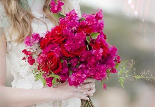 季知节沈廷深季知月（枯木折枝再逢春：大结局+后续小说）txt阅读大结局-抖音近期热门季知节沈廷深季知月枯木折枝再逢春：大结局+后续小说全文