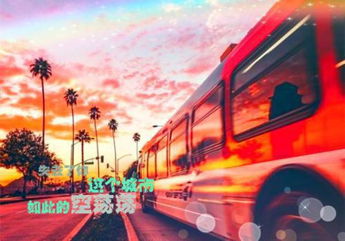 浪漫的地方散文