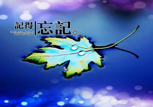 周一祝福短信：最新周一祝福短信大全