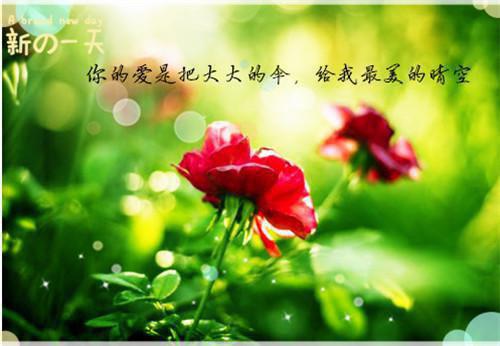 2023牛年新年拜年贺词