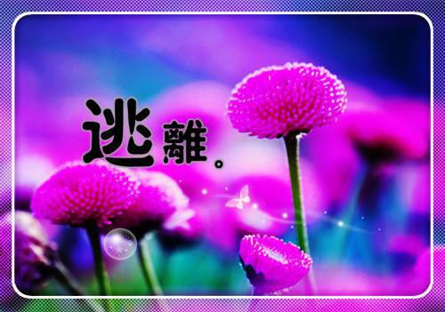 伤感男生爱情名言