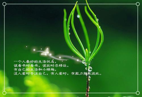 爱情唯美感人名言