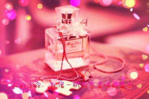 苏晴容止容止小说_苏晴容止完结版阅读