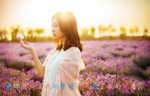 睡前一句简单的晚安句子语录
