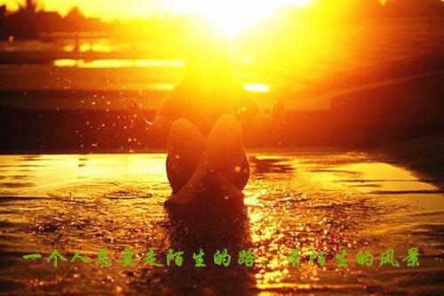 林星晚顾北辰全章节_春风如过客,秋水揽星河小说阅读