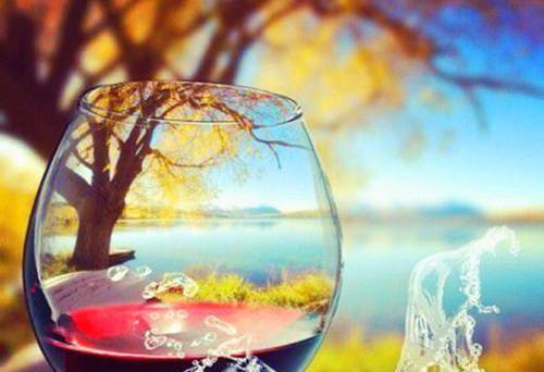 霓羽玄璟:九世轮回不遇你完整版热门(九世轮回不遇你霓羽玄璟:全文+结局+番外)全文免费阅读已完结无弹窗_霓羽玄璟:九世轮回不遇你最新章节列表_笔趣阁(九世轮回不遇你霓羽玄璟:全文+结局+番外)