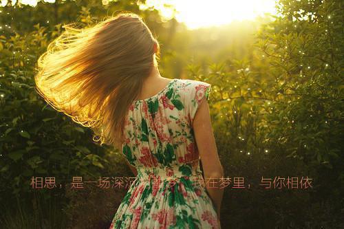 小说昨日前尘皆可弃，今朝卜卦问佛来：结局霍砚生林慕声主角为霍砚生林慕声免费阅读