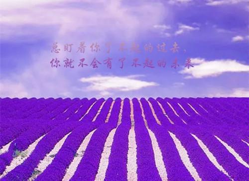 2023带古风的伤感句子大全