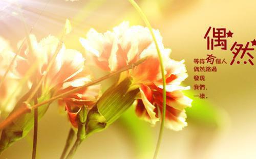 工作心态正能量句子积极工作正能量的句子