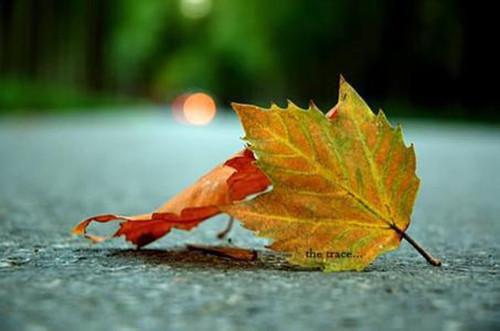 小说卧底归来万人嫌，我一念成魔主角为修为,柳辞,师尊免费阅读