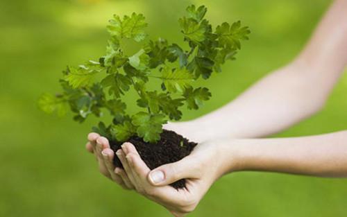 江清雾季晏离(恰逢暮雪又白头:结局+番外)全文免费阅读无弹窗大结局_(江清雾季晏离)最新章节列表_笔趣阁(恰逢暮雪又白头:结局+番外)