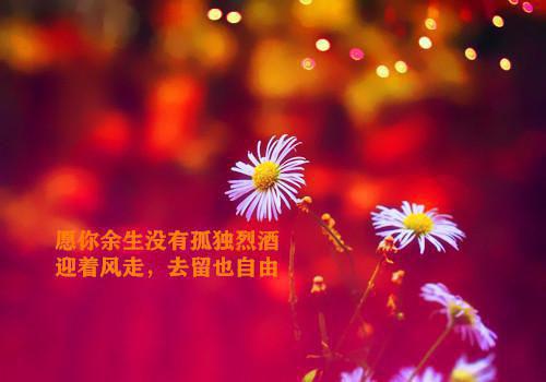路遥星亦迟常梨：全文+后续+结局（常梨厉晏舟）全文免费阅读无弹窗大结局_路遥星亦迟常梨：全文+后续免费阅读最新章节列表_笔趣阁（路遥星亦迟常梨：全文+后续）