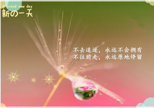 一枕清梦付东河:结局+番外(江彦辰宋凝霜)最新章节列表_一枕清梦付东河:结局+番外(江彦辰宋凝霜)全文+后续+结局在线阅读
