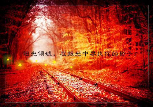 大学爱情散文诗珍藏