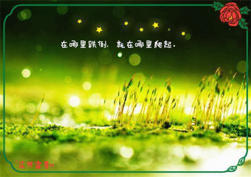 2023最新结婚祝福语大全